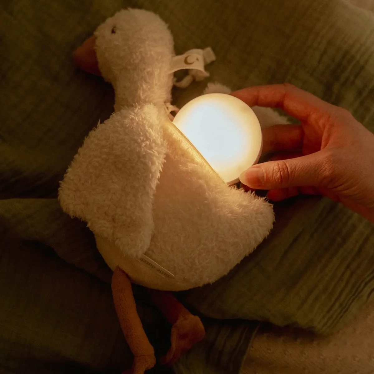 Baby Goose light & sound – Peluche Paperella con luci e suoni - immagine 5